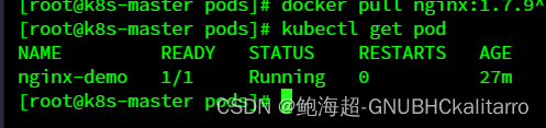 Linux：kubernetes（k8s）pod的基础操作（6）