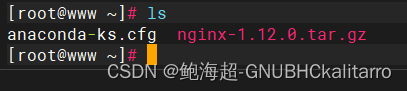 Linux：nginx基础搭建（源码包）