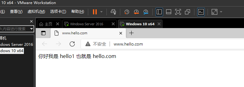 Windows server ： 在一台设备上开启多个网站 三种 其一（通过主机名区分多个）dns解析