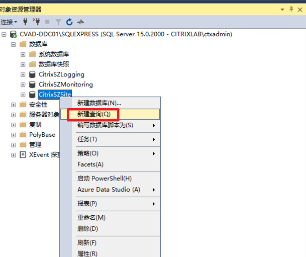 Citrix SQL数据库查询和替换修改字段