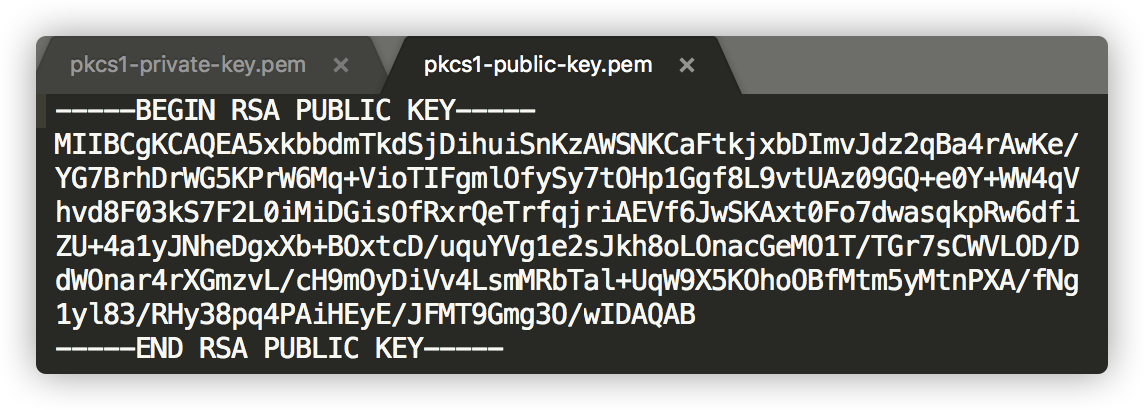 1. PKI - RSA的诞生和密钥对的生成