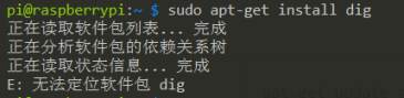 linux系统下安装dig