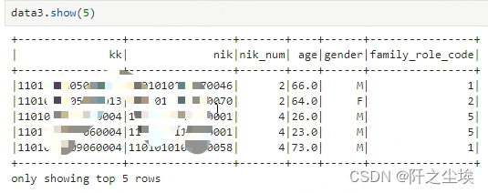 pandas，polars，pyspark的df对象常见用法对比