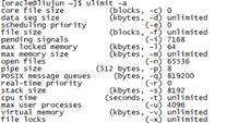 Hardlimit:maxinum open file descriptors 异常处理