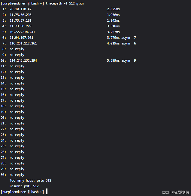 Linux shell编程学习笔记67： tracepath命令 追踪数据包的路由信息