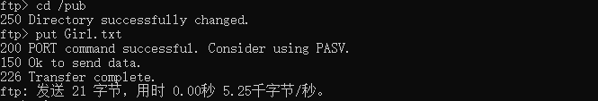 两个简单例子明白FTP怎么传文件