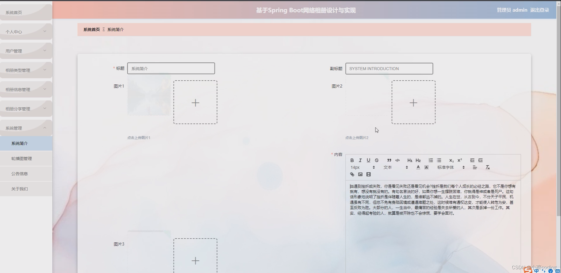 基于SpringBoot+Vue的网络相册的详细设计和实现(源码+lw+部署文档+讲解等)