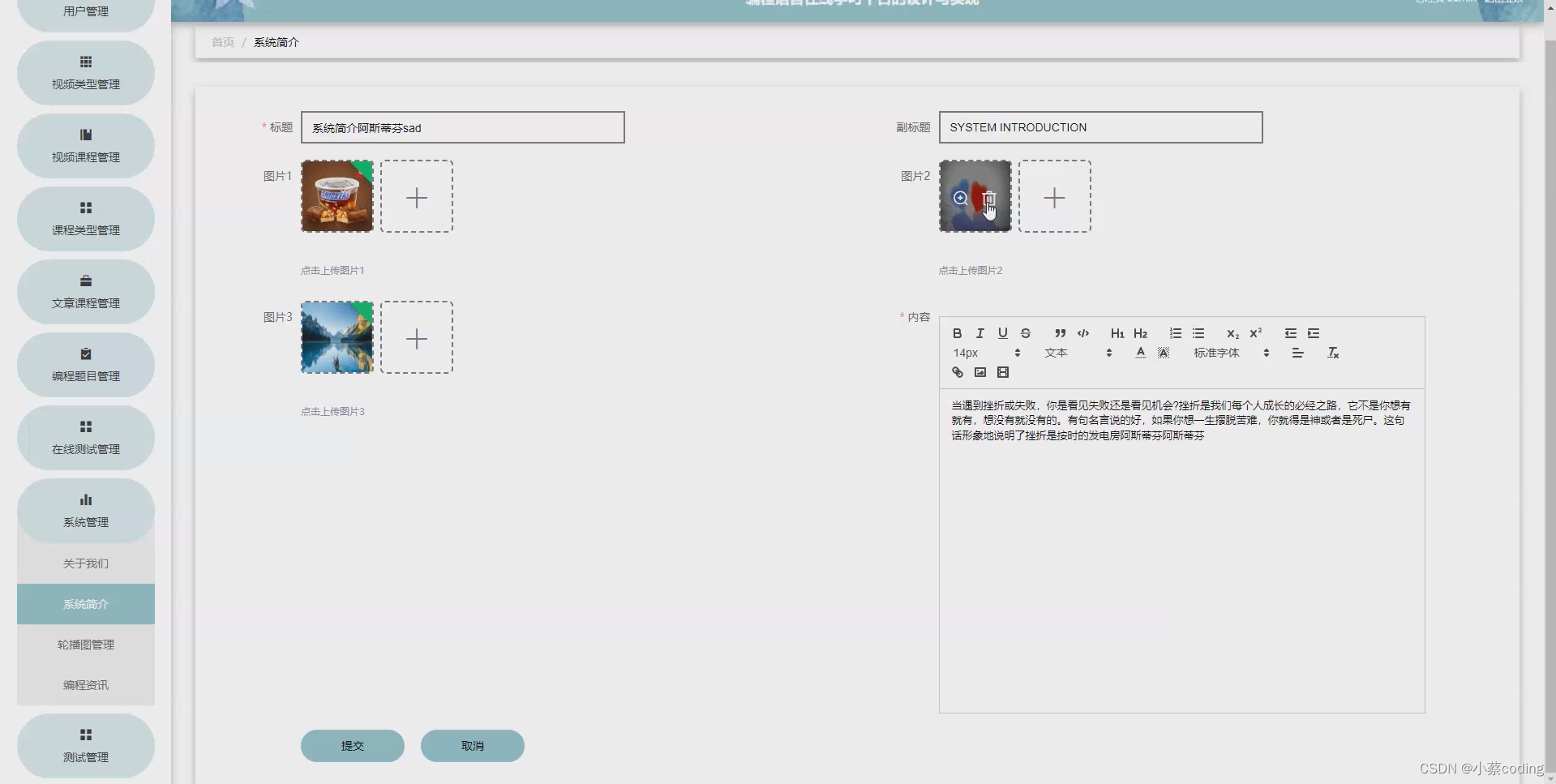 基于SpringBoot+Vue的编程语言在线学习平台的详细设计和实现(源码+lw+部署文档+讲解等)