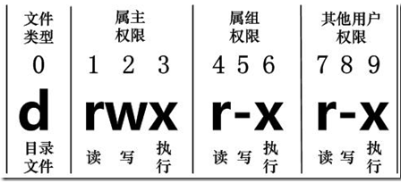 Linux常用操作（超全）