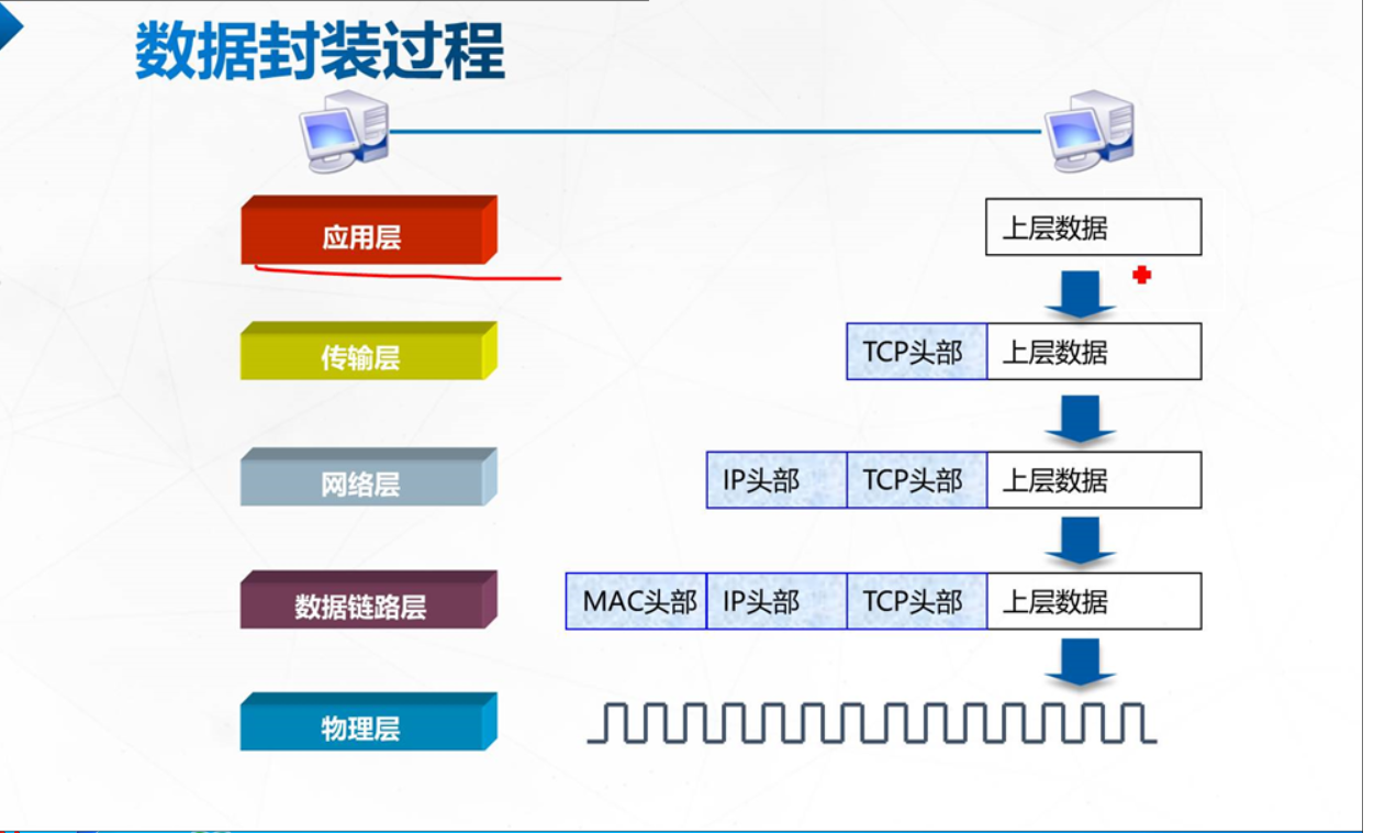 计算机网络参考模型与TCP/IP协议模型+PDU数据封装、解封