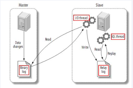 Redis7 数据双写一致性