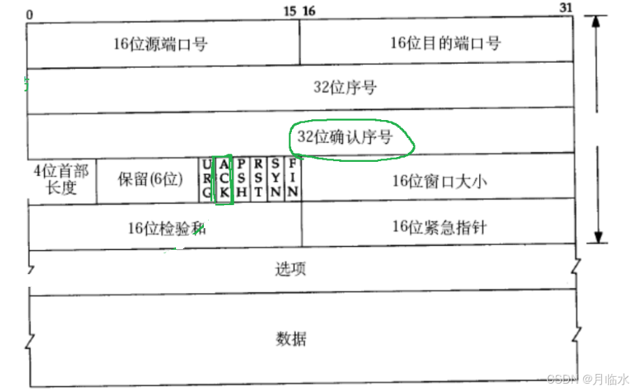 JavaEE: 深入探索TCP网络编程的奇妙世界(一)