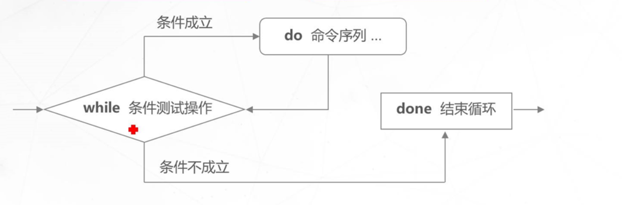 shell脚本之循环语句