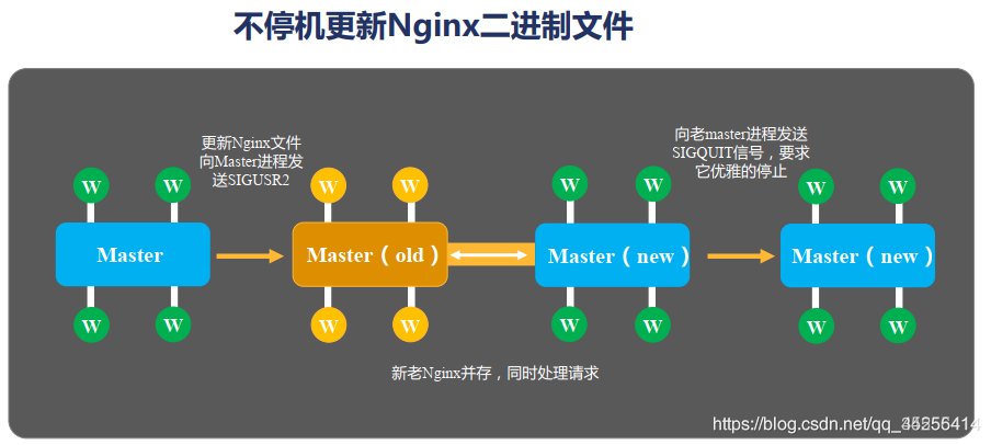 十六、Nginx升级