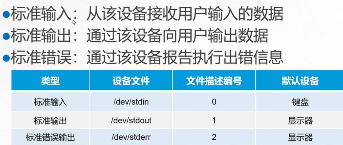 shell编程规范与变量