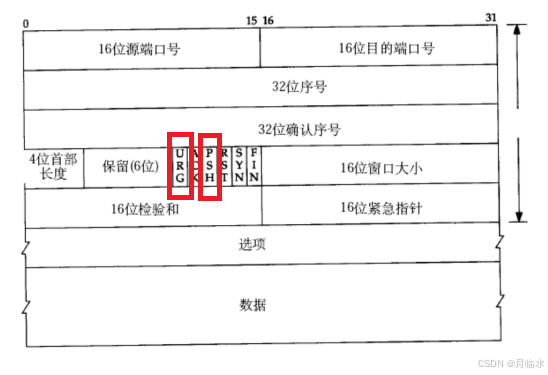 JavaEE: 深入探索TCP网络编程的奇妙世界(六)