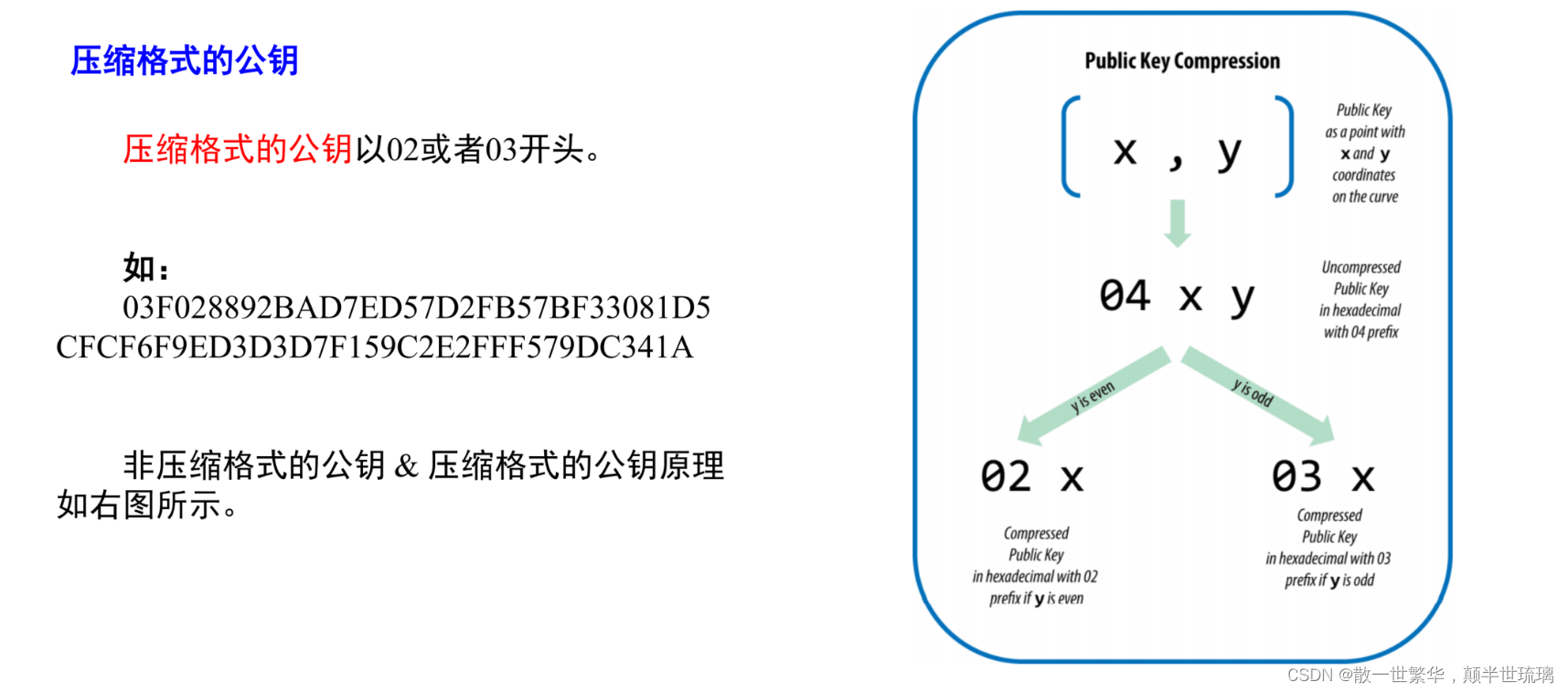 区块链探秘：从基础到深度，全面解读区块链技术与应用