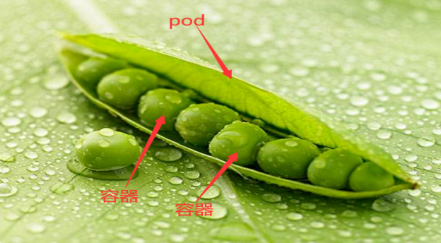 k8s基础篇 pod(一)简介