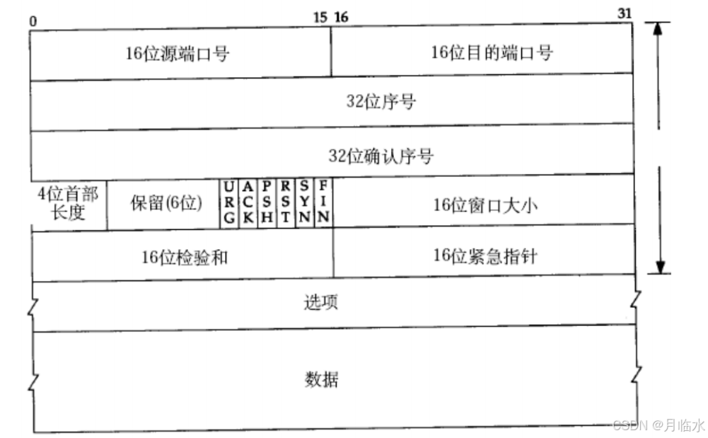 JavaEE: 深入探索TCP网络编程的奇妙世界(一)