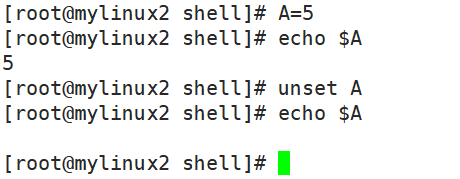 shell中的变量