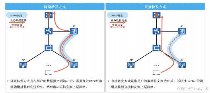 WLAN基础概念与实验