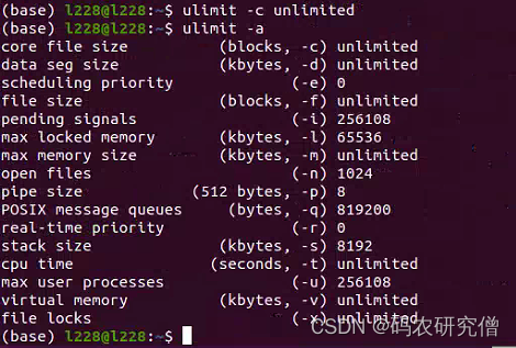 详细分析Linux中的core dump异常（附 Demo排查）