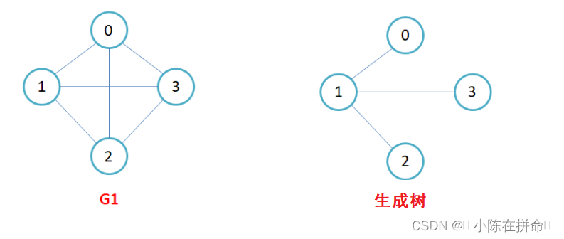 DS高阶：图论基础知识