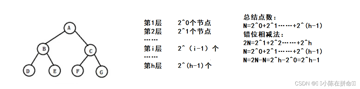DS初阶：树及二叉树的相关概念