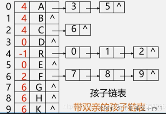 DS初阶：树及二叉树的相关概念