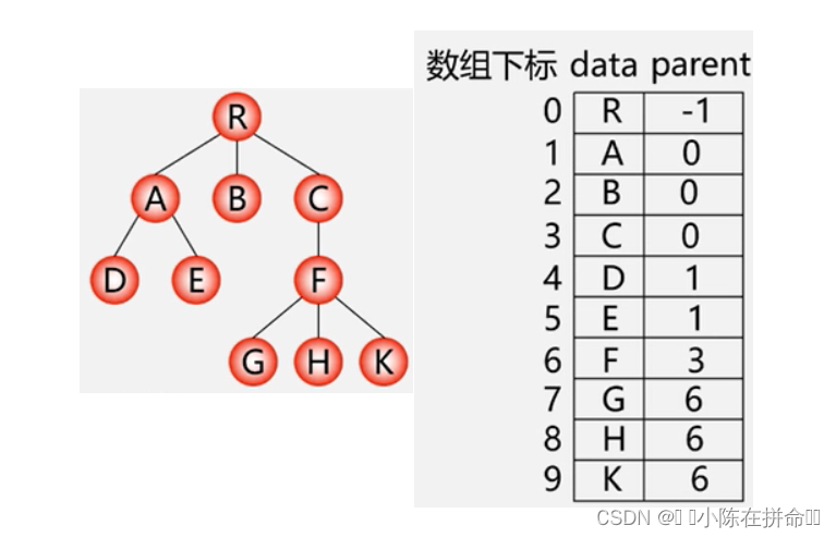 DS初阶：树及二叉树的相关概念