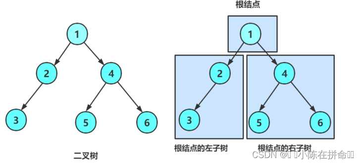 DS初阶：树及二叉树的相关概念