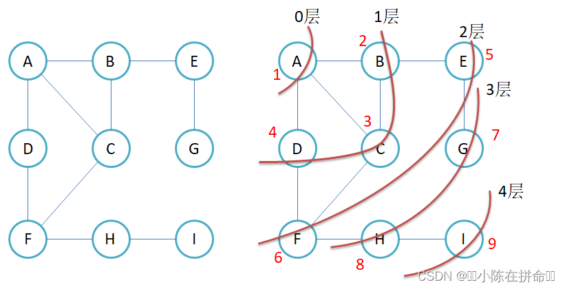 DS高阶：图论基础知识