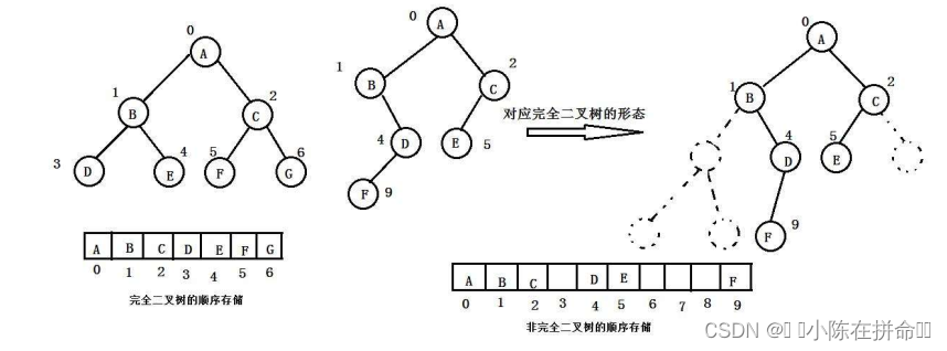 DS初阶：树及二叉树的相关概念