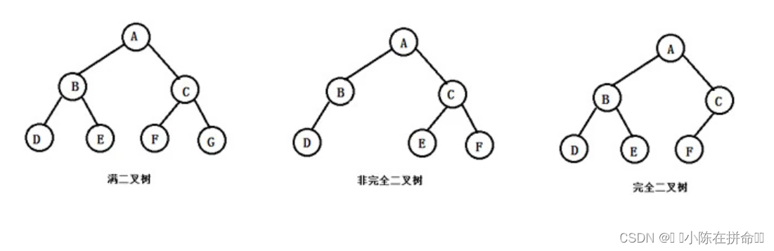 DS初阶：树及二叉树的相关概念