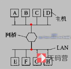 【网关】什么是网关、网桥和交换机（集线器、网桥、交换机、路由器、网关大解析）