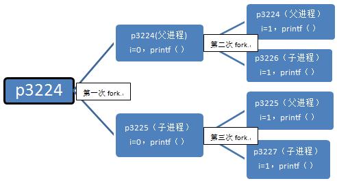 【多进程】Linux中fork()函数详解|多进程