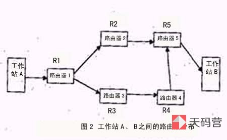 【网关】什么是网关、网桥和交换机（集线器、网桥、交换机、路由器、网关大解析）