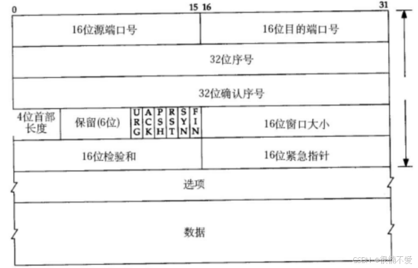 Linux网络——传输层协议