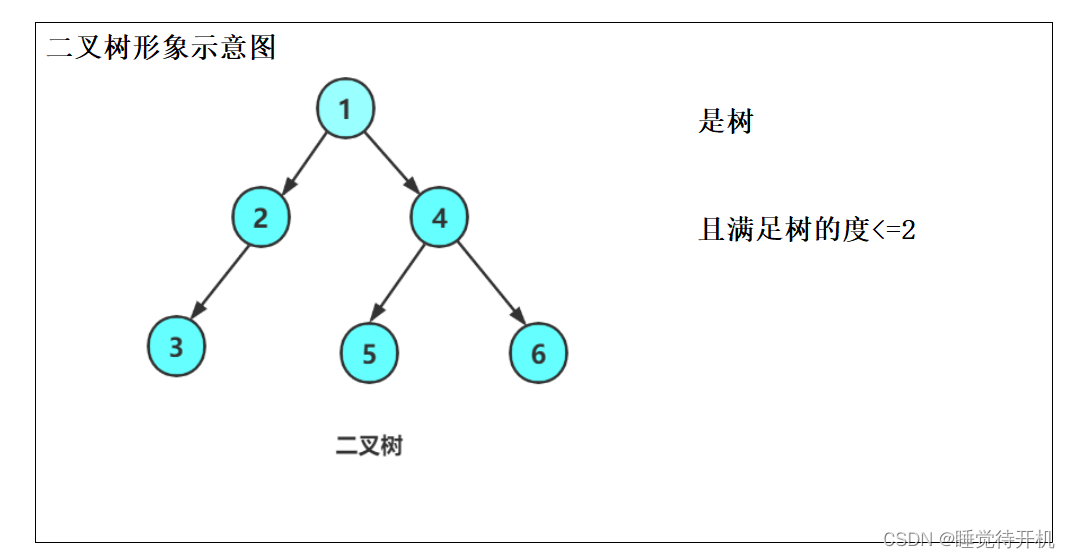 【数据结构】树、二叉树与堆（长期维护）