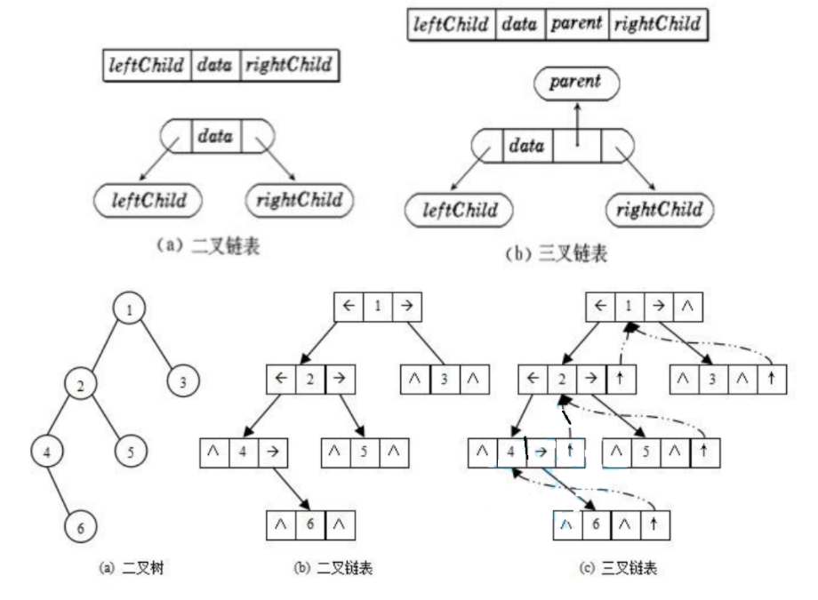 二叉树的概念和结构