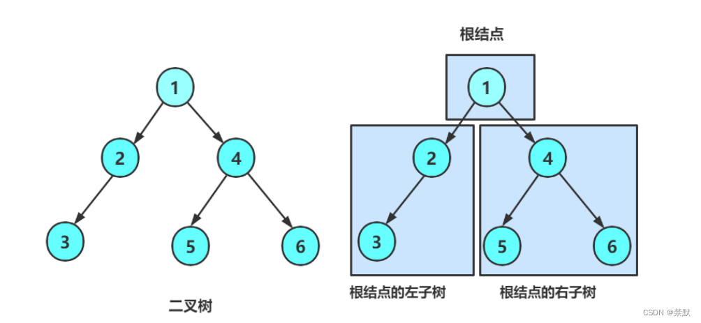 二叉树的概念和结构