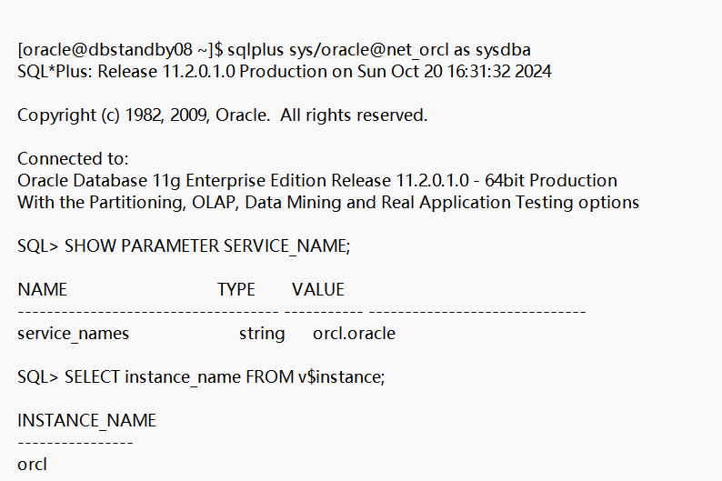 oracle 单机多实例启动登录