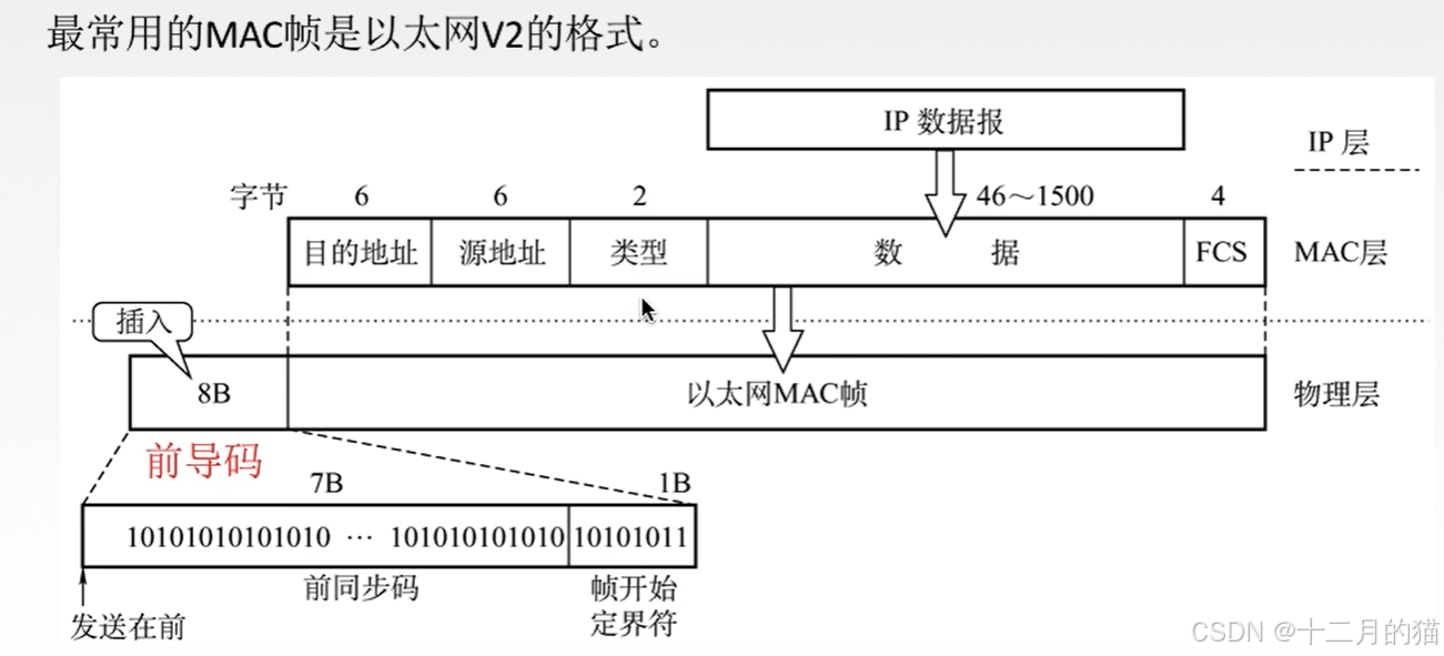 【计算机网络】第三章·数据链路层与局域网/广域网