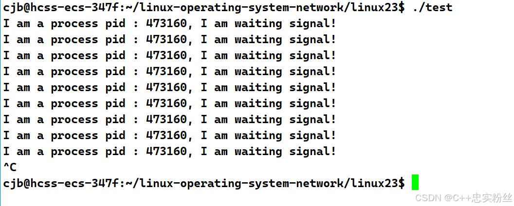 Linux系统基础-进程信号超详细讲解