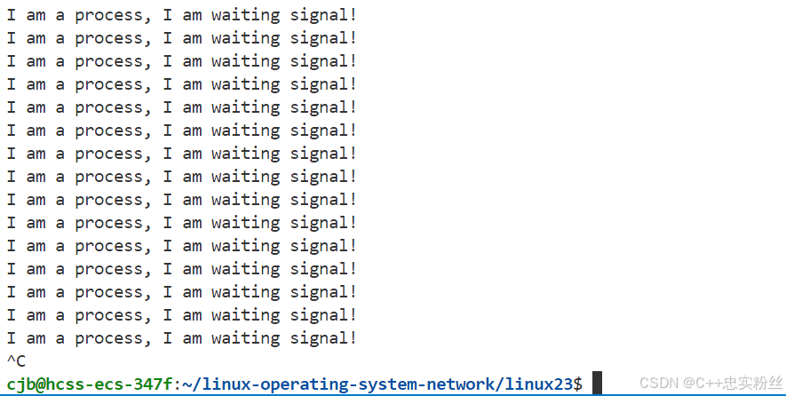 Linux系统基础-进程信号超详细讲解